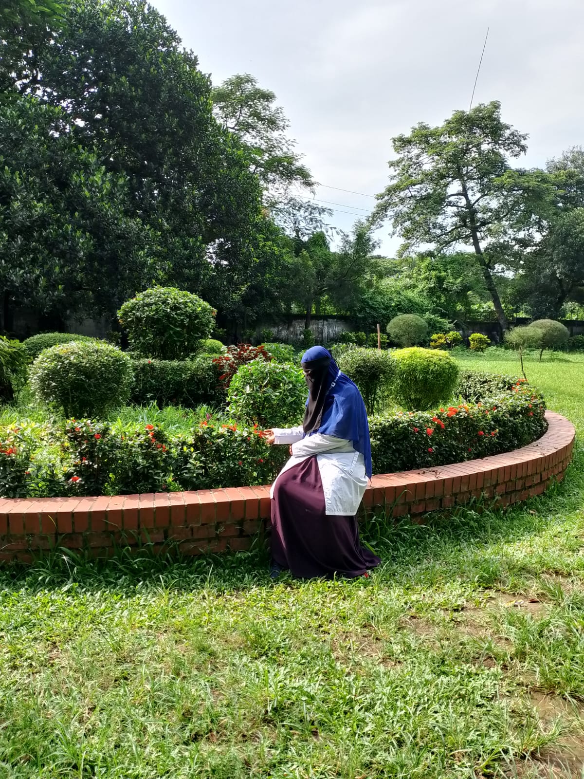 Home Tutor For Class 9-12 Science Background